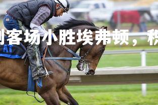 28圈官网-热刺客场小胜埃弗顿，积分赛达到巅峰