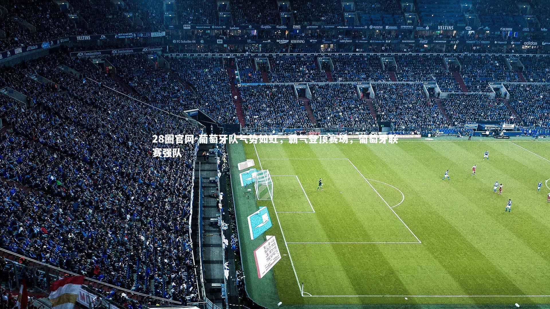 葡萄牙队气势如虹，霸气登顶赛场，葡萄牙联赛强队