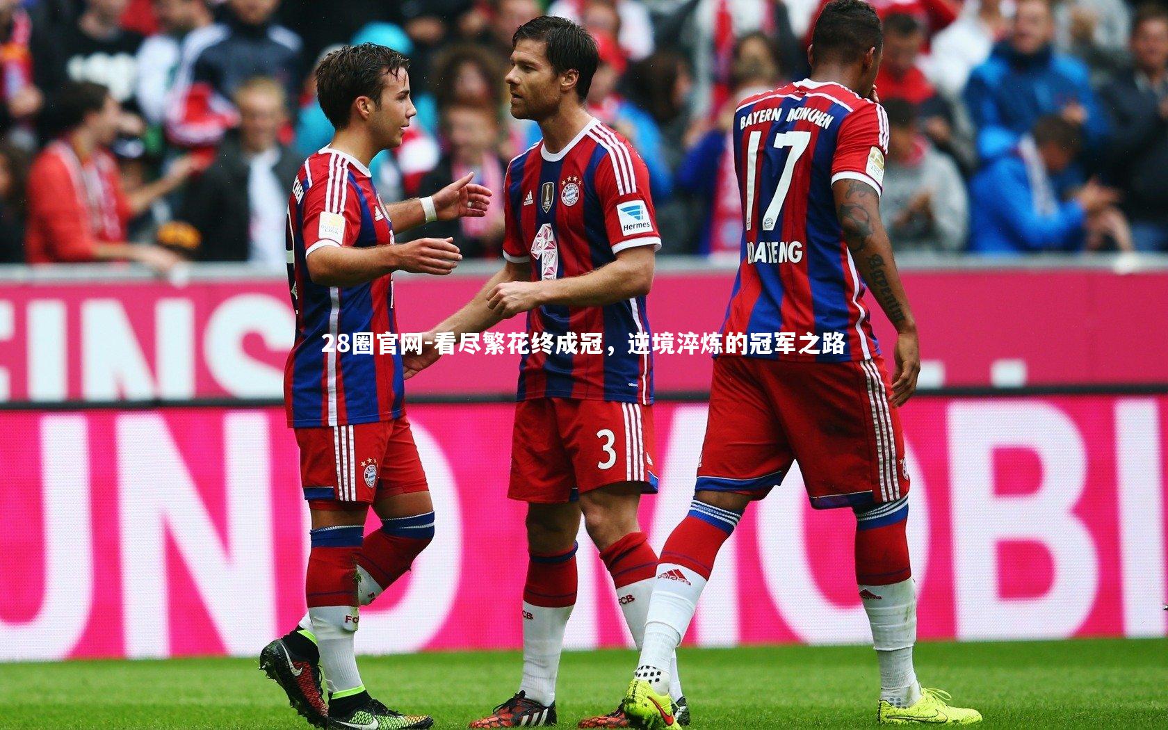 28圈官网-看尽繁花终成冠，逆境淬炼的冠军之路